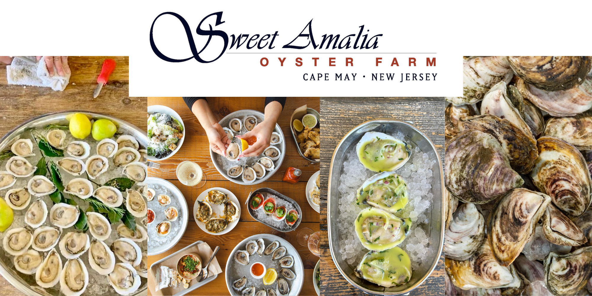 sweet amalia oysters