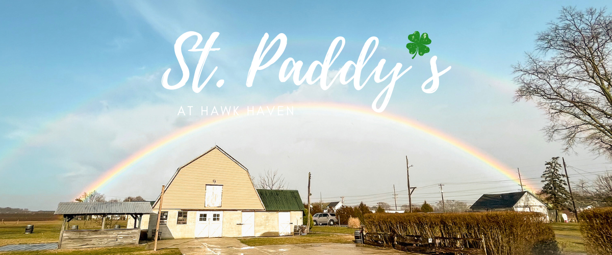 St Paddy's Day at Hawk Haven